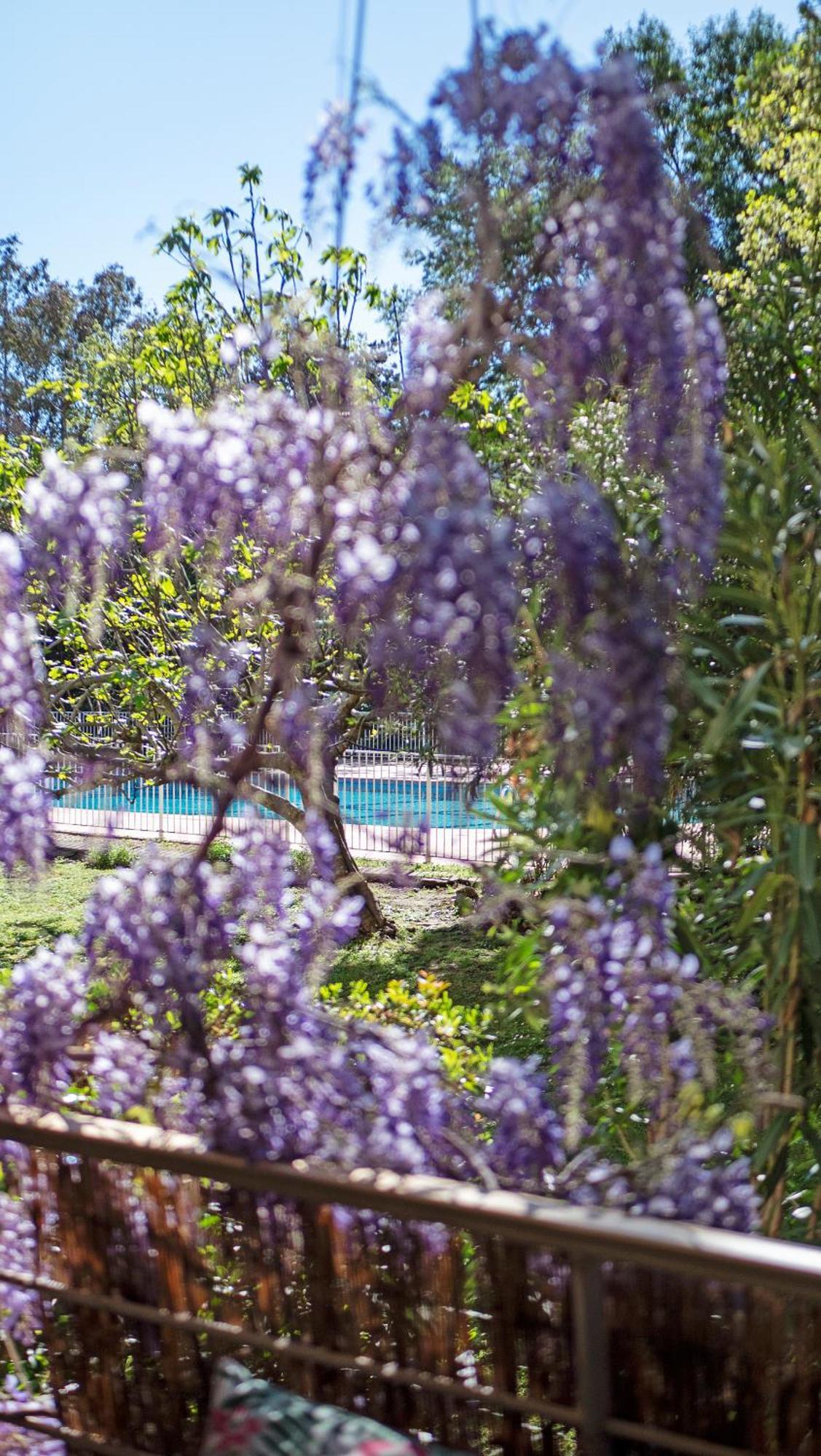 Casa Laura -Parking - Pool Leilighet Saint-Tropez Eksteriør bilde